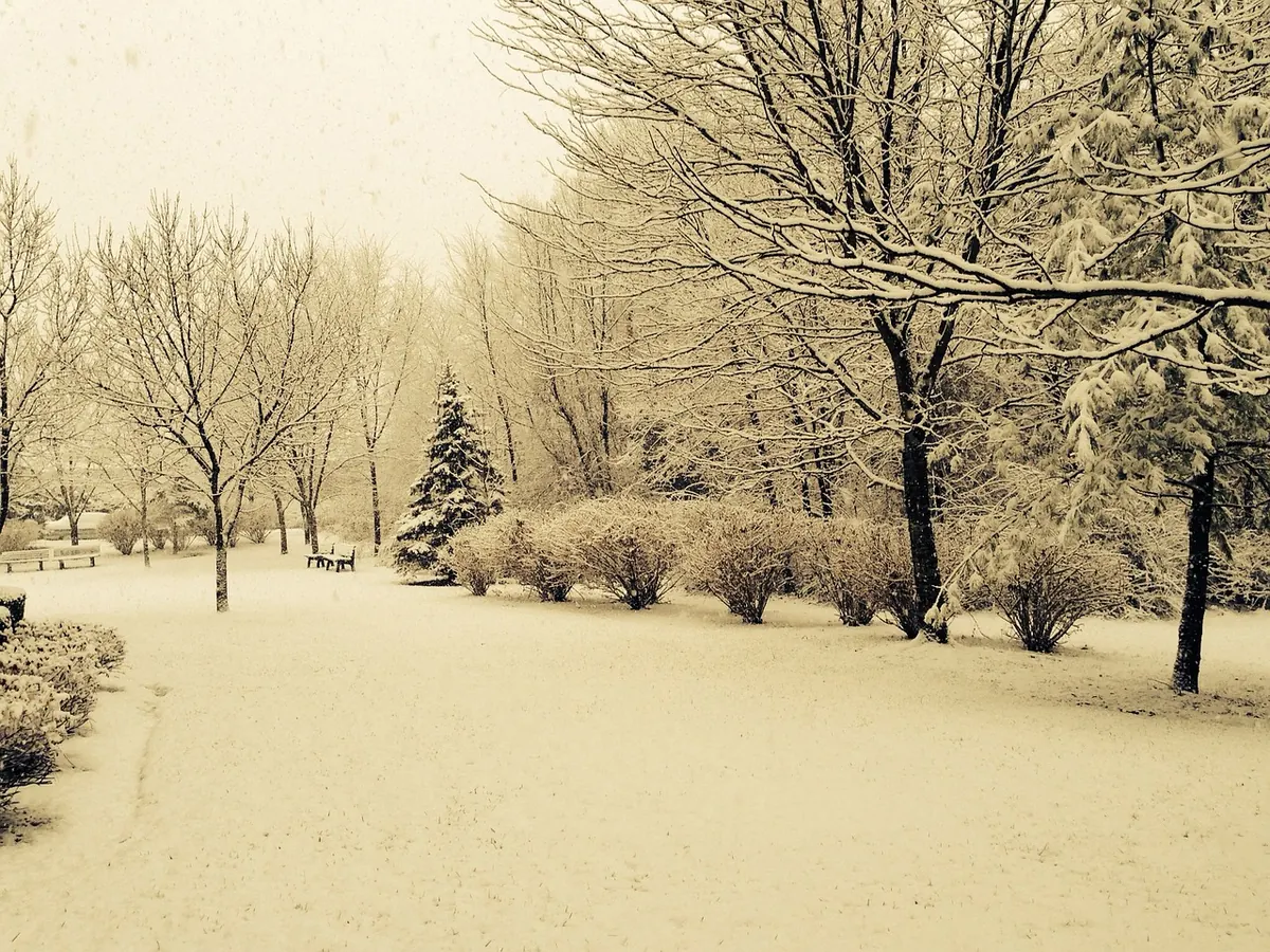 How to Stay Grounded Through a British Winter: A Seasonal Wellness Guide